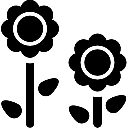 pair-of-flowers
